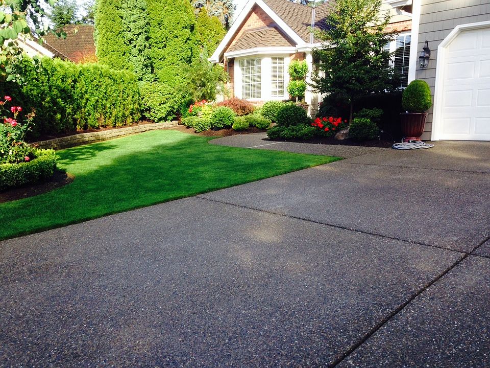 Coveted Sheffield Green 