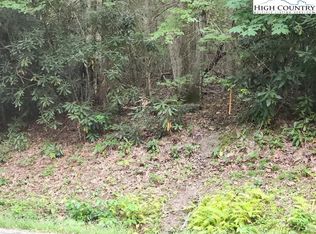 Tbd Gum Tree Rd, Beech Mountain, NC 28604