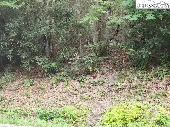 TBD Gum Tree Road, Beech Mountain, NC 28604