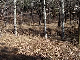 View of Fountain Creek