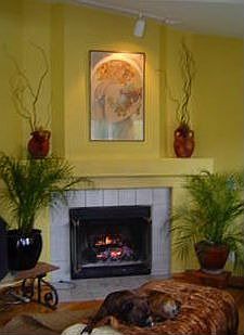 woodburning fireplace