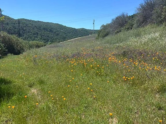 5th image of 13160 Uvas Rd