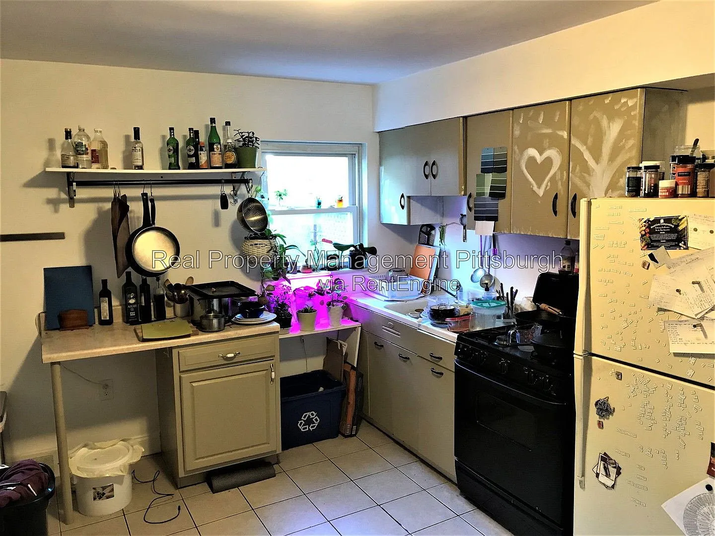 1 bed, 1.0 bath, $1,195 — Photo 3