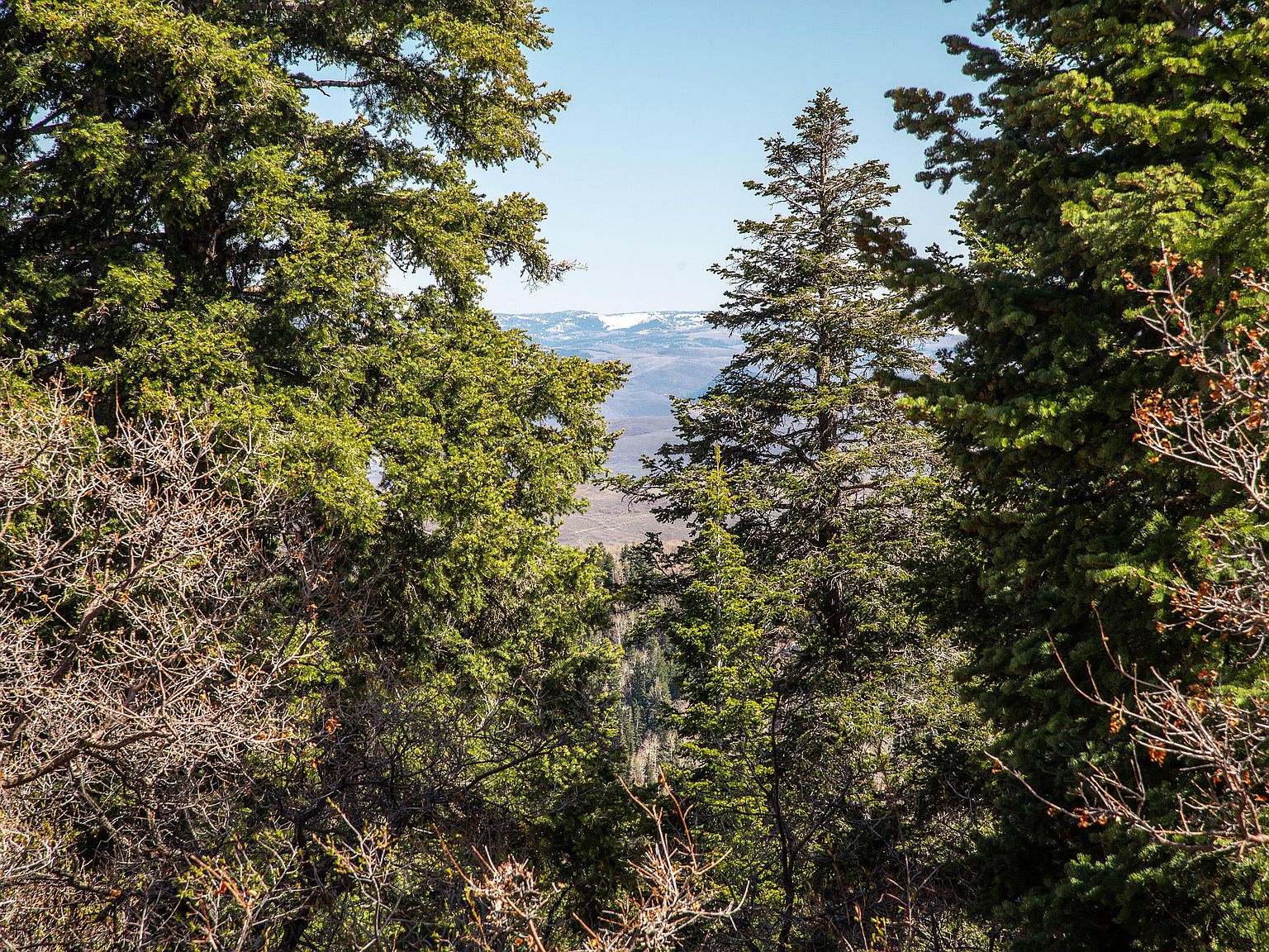 1172 W Maple Pl, Coalville, UT 84017 Zillow