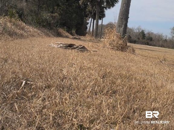 2nd image of 0 County Road 36
