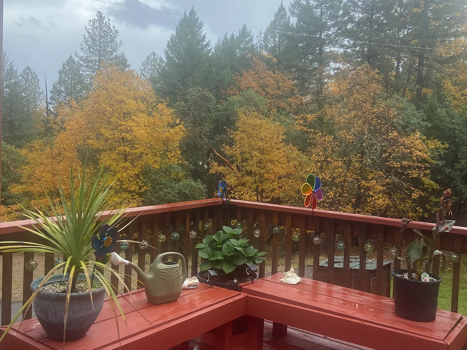 3 bed, 1200 sqft, $2,300 — Photo 2