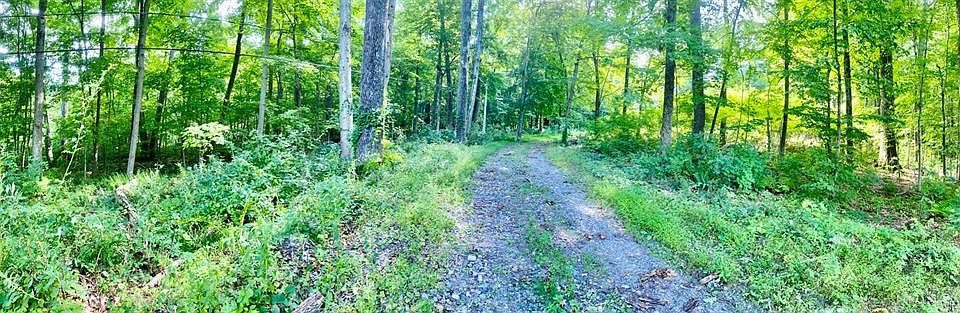 2nd image of 238 E Shore Rd