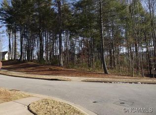 20 Cats Whisker Ct, Biltmore Lake, NC 28715