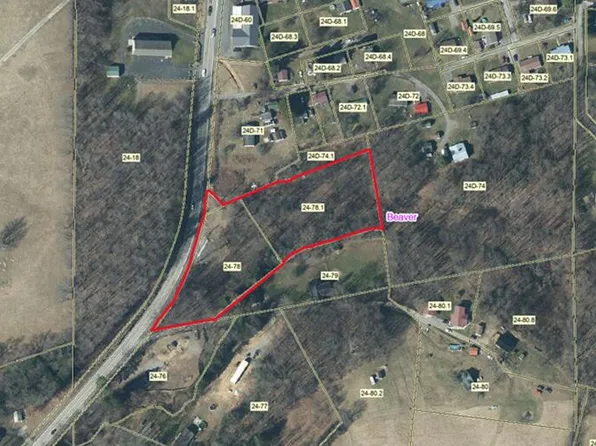 1223 Craigsville Rd, Craigsville, WV 26205