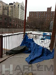 Rented by Harlem Lofts