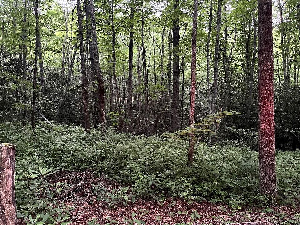 Undisclosed Address), Cashiers, NC 28717 | MLS #101287 | Zillow