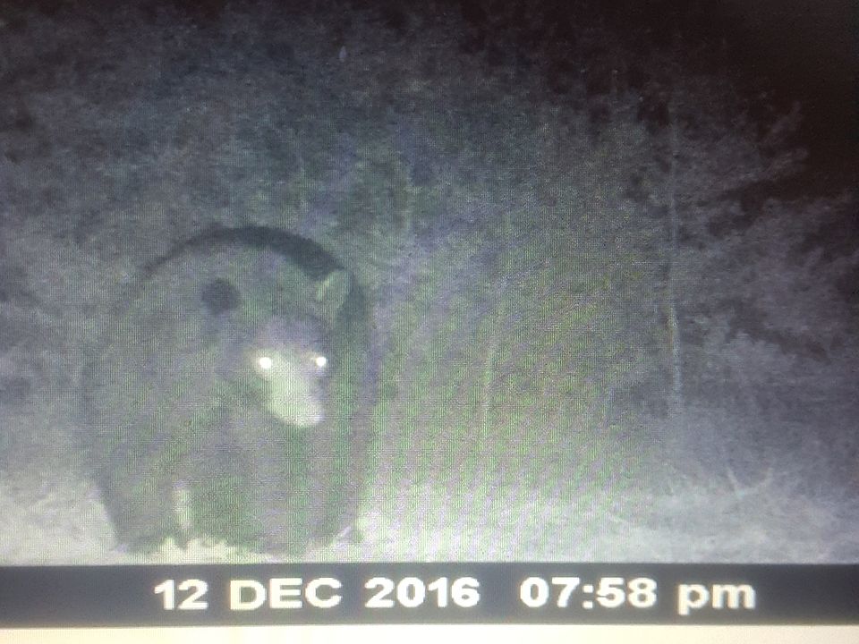 2nd image of 871 Braley Pond Rd