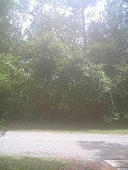 2nd image of 132 YAUPON LOT L6 BR