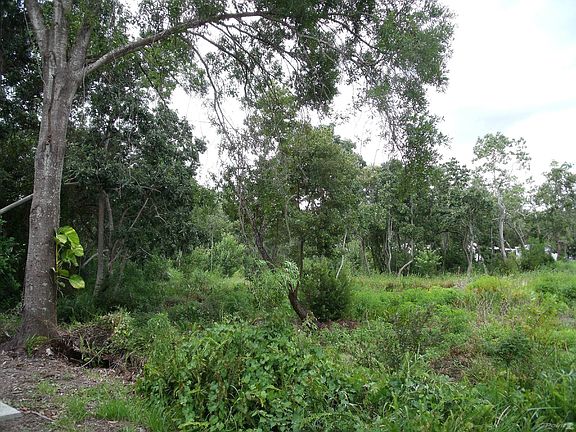 BEAUTIFUL BACK VIEW OF HOME