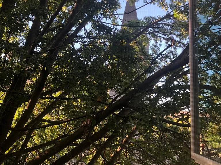 bedroom window view