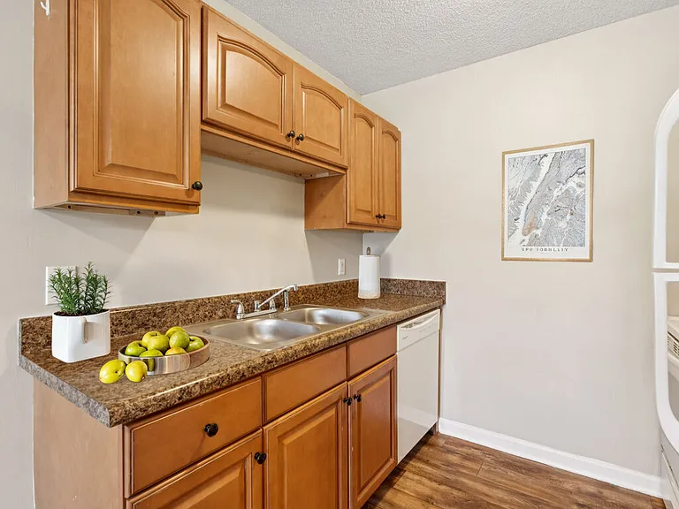 Willow Tree Apartments — Photo 18