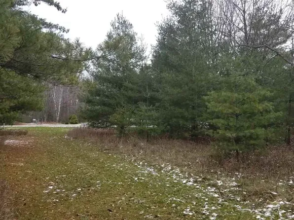 Old Orchard Rd, Charlevoix, MI 49720
