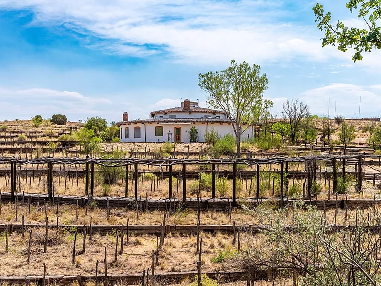 Terraces prepared for the vineyard between the Center building and the Hacienda and Casita