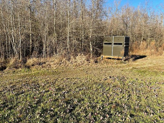 Large Shooting House