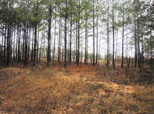 700 Lee Road 332, Salem, AL 36874