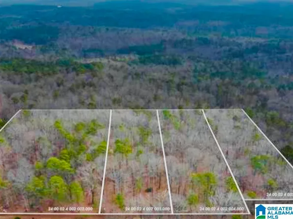 6215 Mountain Ridge Rd #4, Trussville, AL 35173