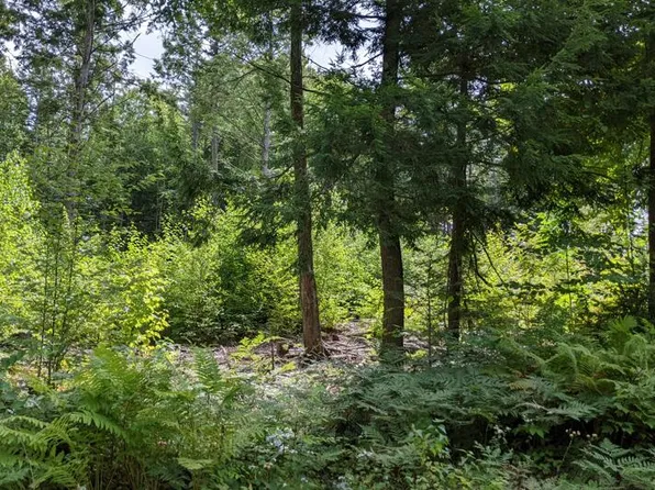 Lot 08-001 Milton Mills Road, Acton, ME 04001