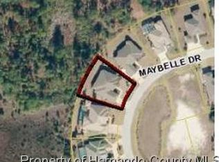 8373 Maybelle Dr, Weeki Wachee, FL 34613