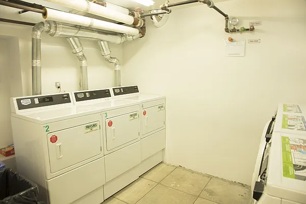 Rented by Distinct NYC | media 83