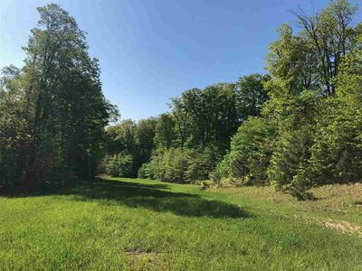 1467 Andover Club Dr #DRIVE25, Harbor Springs, MI, 49740