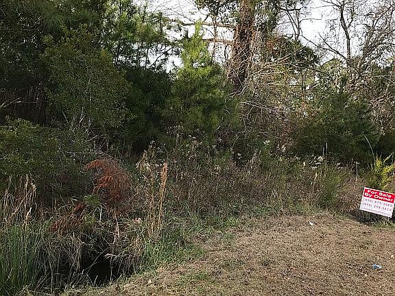 4th image of 12553 State Highway 50
