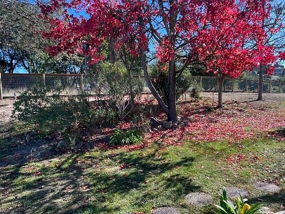 Large, private side yard