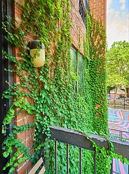 Rented by Living New York