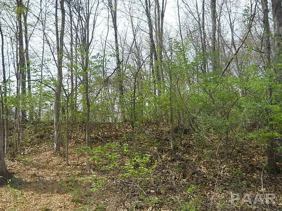 3rd image of 557 Rollingwood Pl