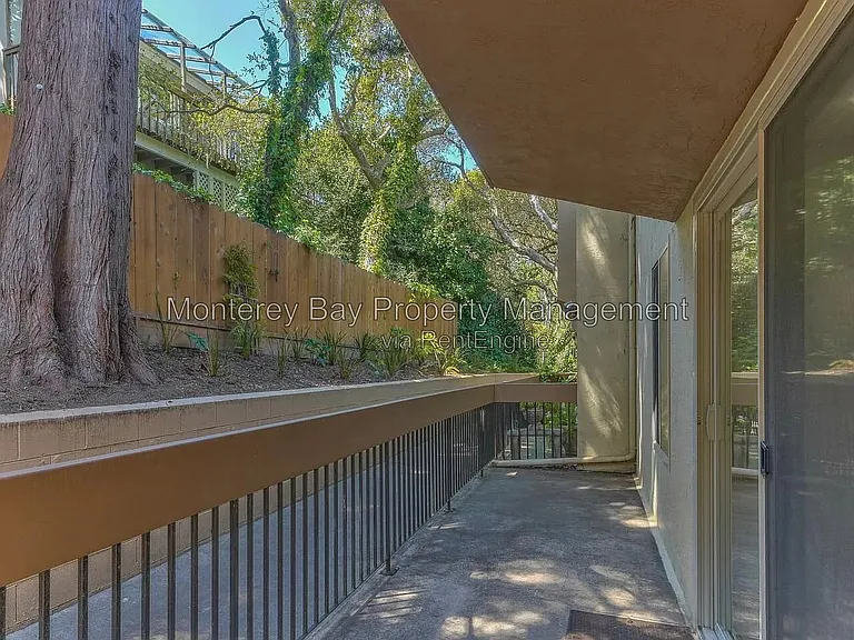3103 Golden Oaks Ln — Photo 3