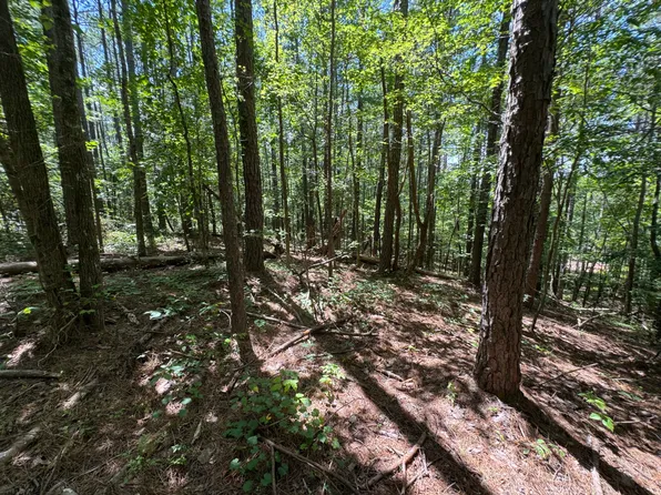 0 Highway 145 Tract #1, Clanton, AL 35045