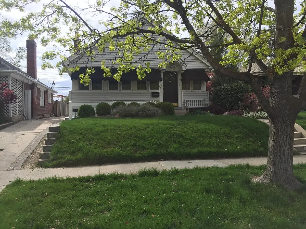 1 bed, 800 sqft, $1,250 — Photo 1
