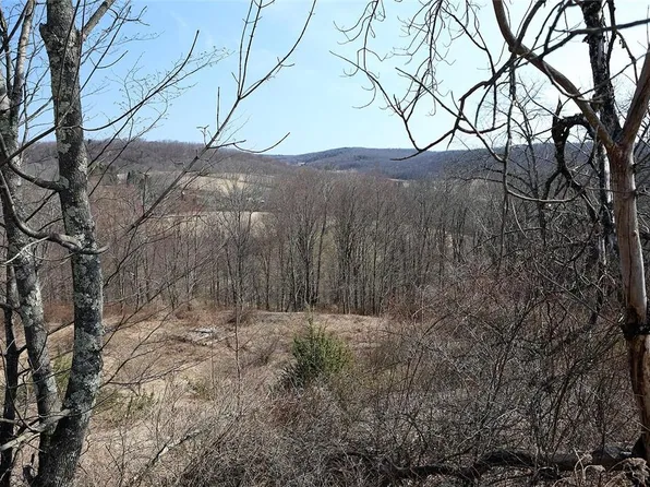 Lot 11 Skyline Drive, Fremont Center, NY 12736