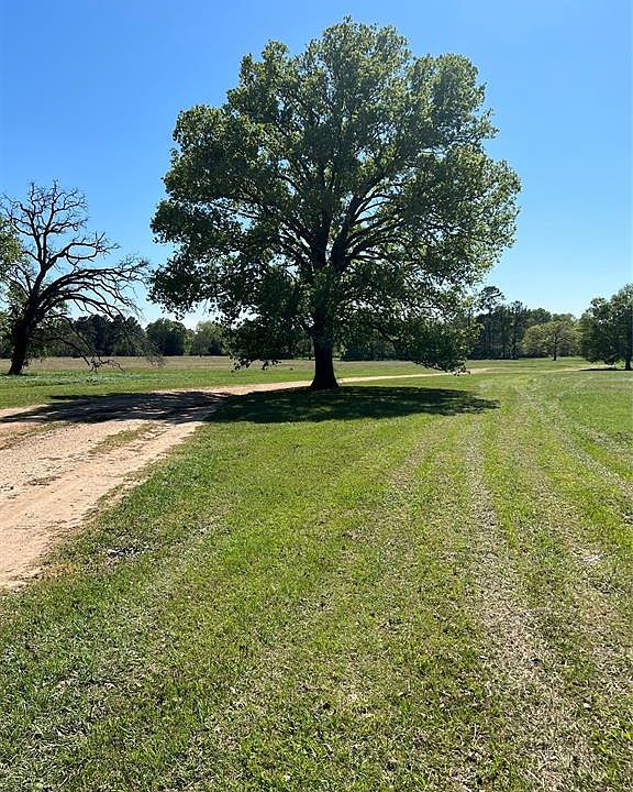 1238 Jones Rd, New Waverly, TX 77358 MLS 40446330 Zillow