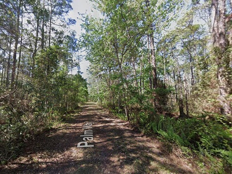 2nd image of 416 Palm Way