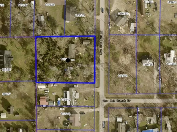 19970 Live Oak Burr Dr, Porter, TX 77365