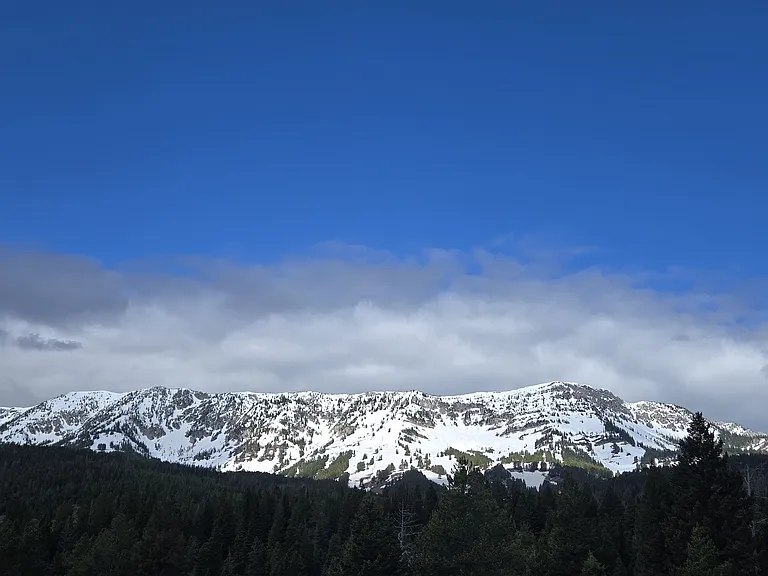 What a gift not to have to be in the train of cars racing up the canyon for first chair. And so peaceful in the off season.