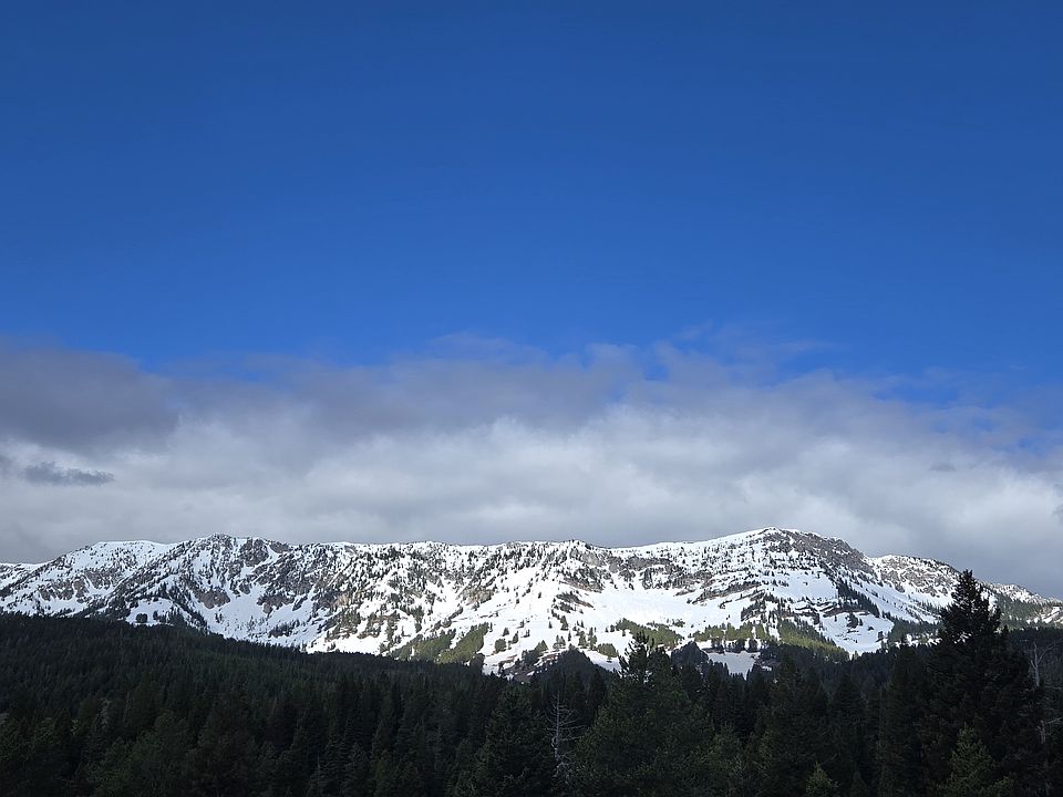 What a gift not to have to be in the train of cars racing up the canyon for first chair. And so peaceful in the off season.