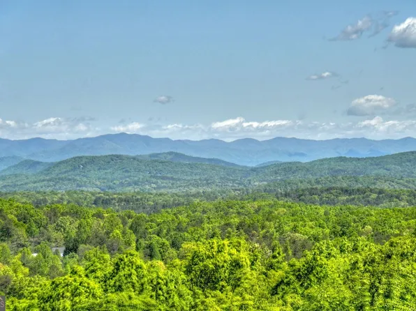 319 Chicory Dr E, Blairsville, GA 30512