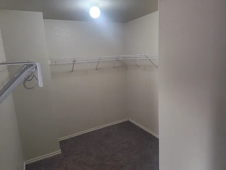 3007 Quiet Plain Dr — Photo 40