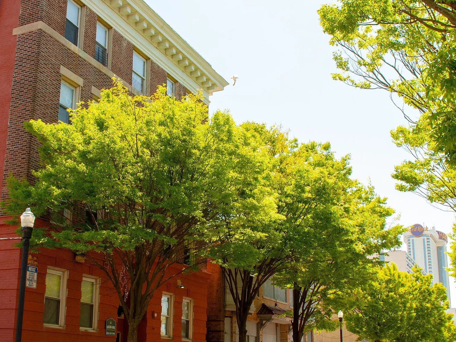Virginia Arms Apartments — Photo 1