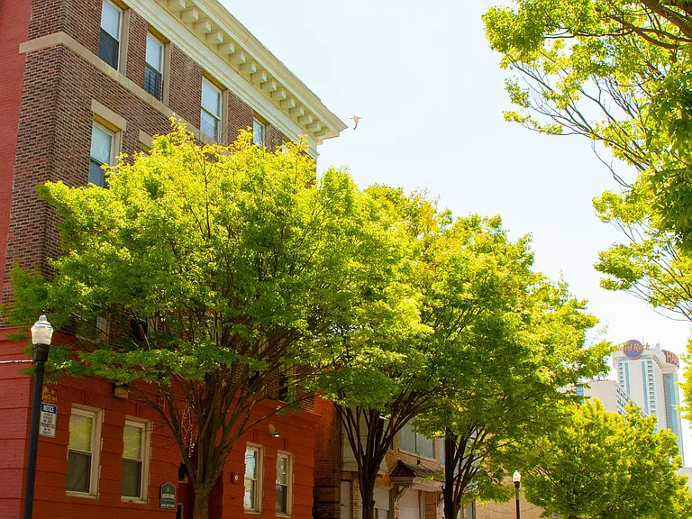Virginia Arms Apartments — Photo 1