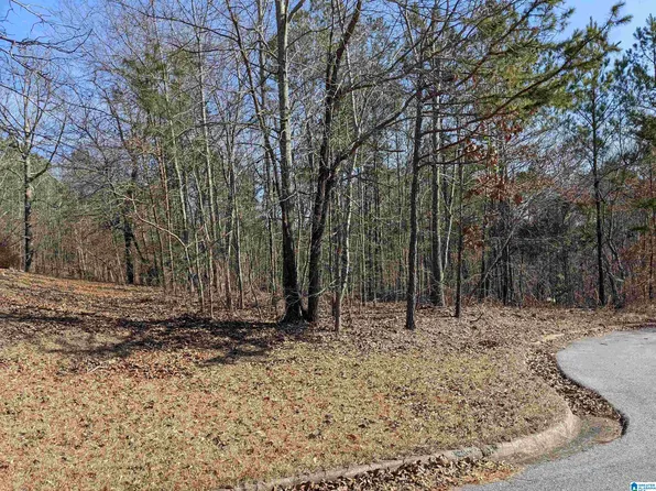 0 Winfrey Ln Lot 247, Anniston, AL 36206