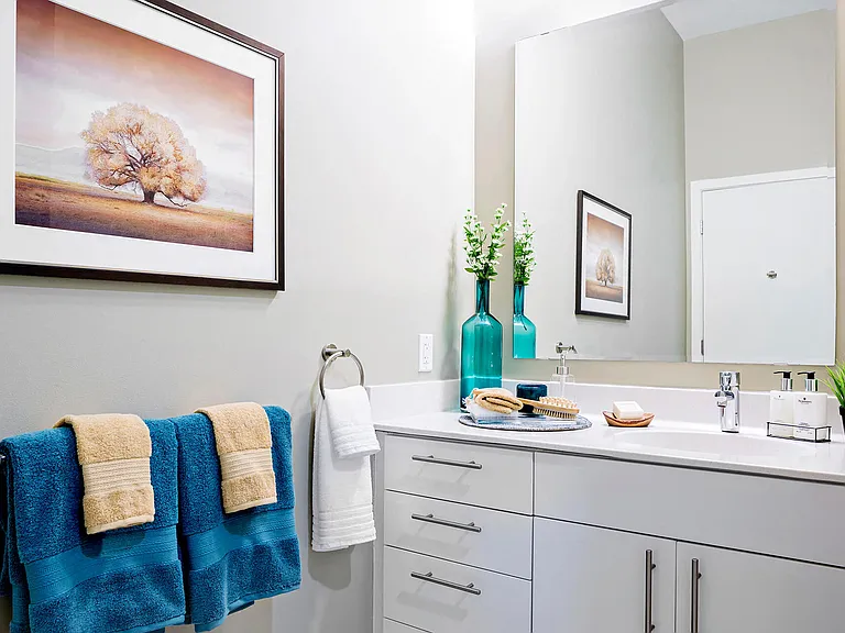 Plentiful storage in modern bathrooms