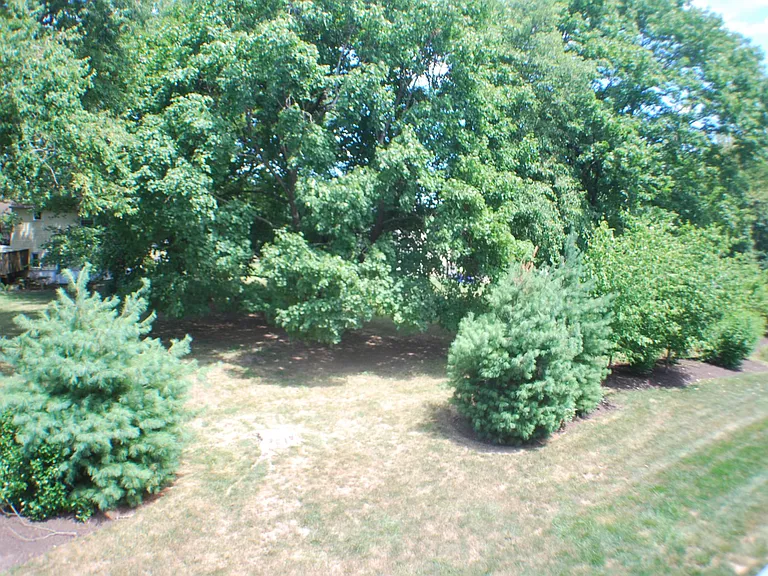 209 Moore Ct — Photo 28
