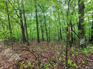 0 Huskey Mountain Rd, Laceys Spring, AL 35754